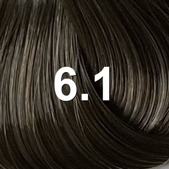 Nuance ELGON IMAGEA COULEUR EN GEL 60ml Num6.1